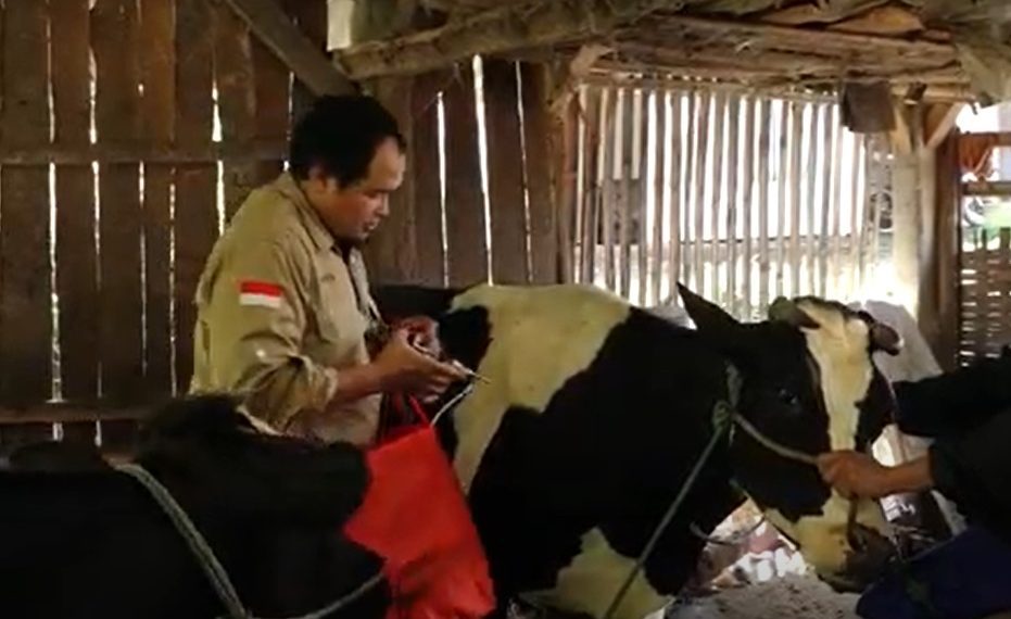 UB Siapkan Rapid Test PMK